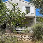 Robinson House Leticia