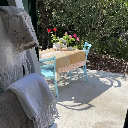 Robinson House Leticia Feriehus *