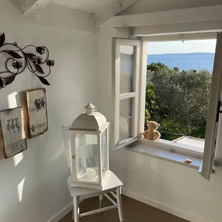 Robinson House Leticia Vakantiehuis