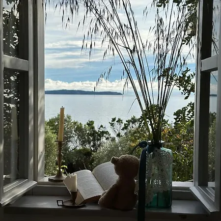 Robinson House Leticia Feriehus Čunski