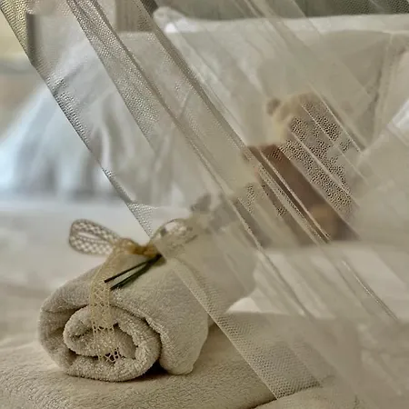 Robinson House Leticia *