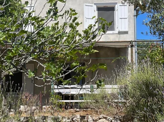 Robinson House Leticia