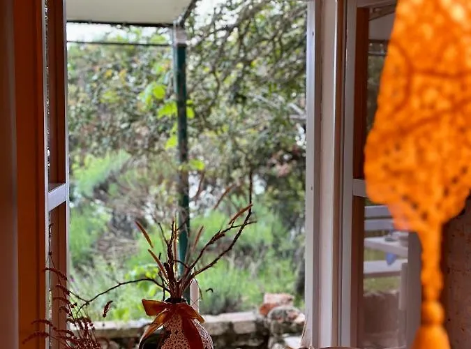 Robinson House Leticia *