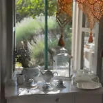 Robinson House Leticia Tatil Evi