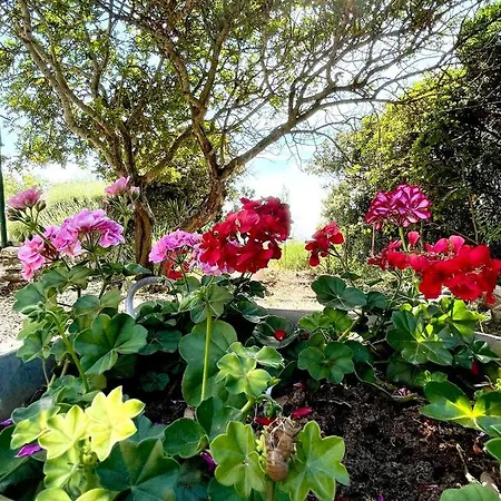 Robinson House Leticia