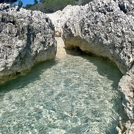 Robinson House Leticia Casa de Férias