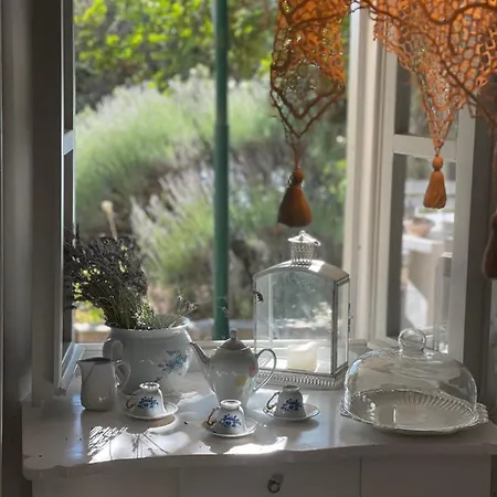 Robinson House Leticia Semesterbostad