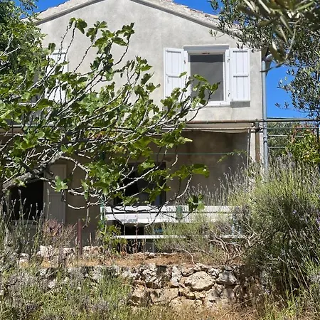 Robinson House Leticia