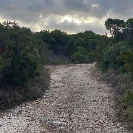 Robinson House Leticia Čunski