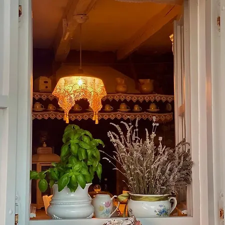 Robinson House Leticia Čunski