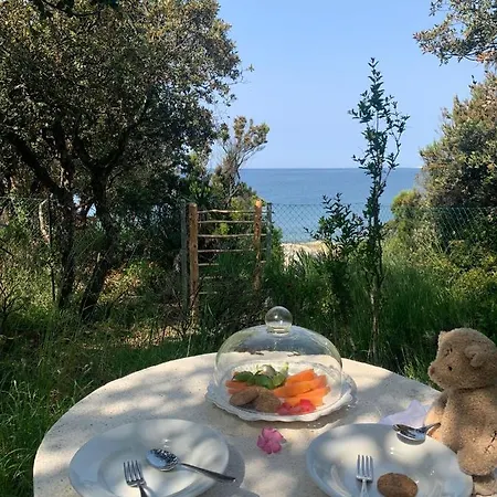 Robinson House Leticia Semesterbostad *