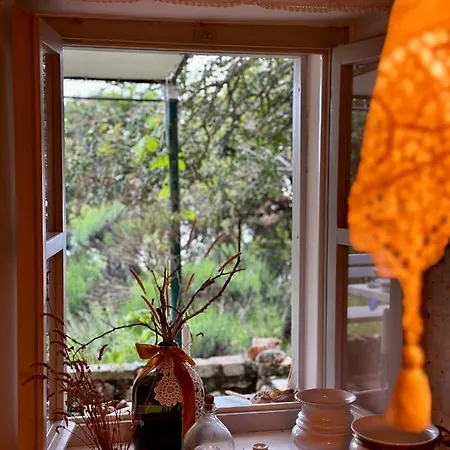 Robinson House Leticia *