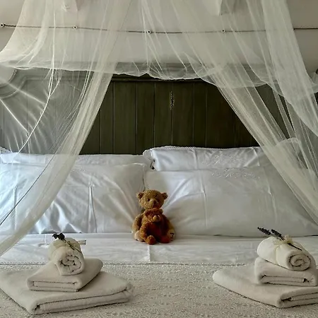 Robinson House Leticia * Čunski