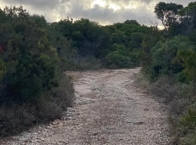 Robinson House Leticia Čunski