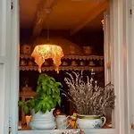 Robinson House Leticia Čunski